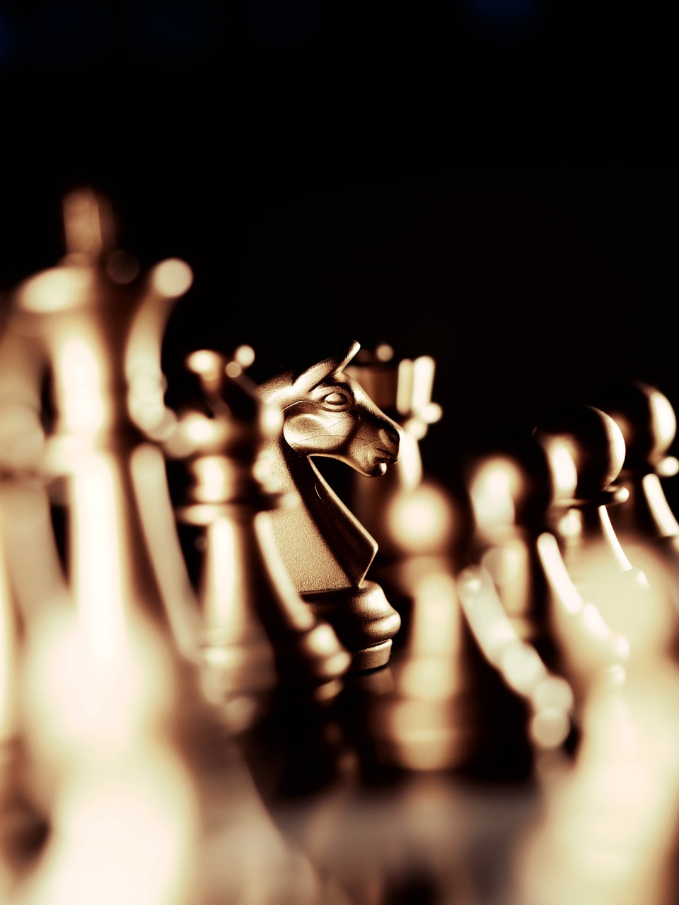 strategy, chess, knight