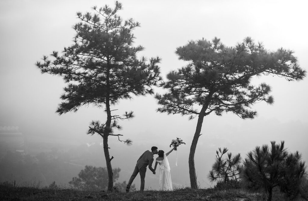 wedding, couple, kiss, black and white, love, happy, romantic, trees, fog, bride, groom, outdoors, nature, da lat, wedding, wedding, wedding, wedding, wedding, kiss, love, love, love, love, romantic, bride, da lat